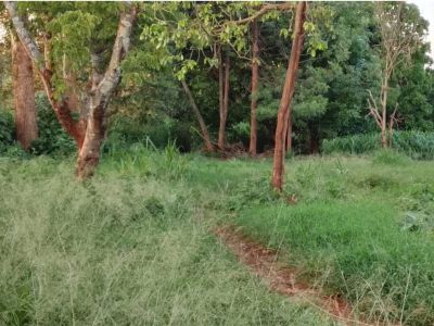 Prime Land for Sale in Ruaka